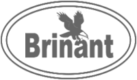 Brinant